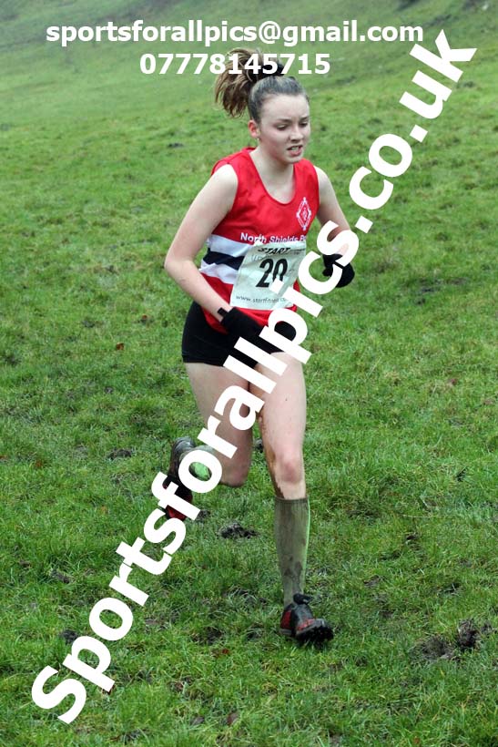 Girls under-13s, NECAA Junior Cross Country Relays, Thornley Farm, Peterlee, Saturday, December 12th. Photo: David T. Hewitson/Sports for All Pics